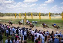 Crowds flock to Bassett Park and it’s Stampede Warrior’s Cup