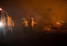 Fire burns in forestry at Jackson