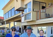 Twas a merry little Christmas race meeting at Basset Park