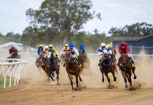 Roma Turf Club to celebrate Christmas this weekend