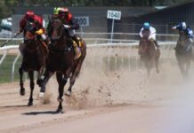 Roma Turf Club to race off into the new year