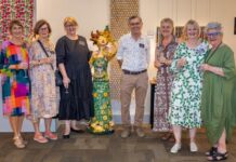 MEGA PHOTO GALLERY: Lines and Designs fill the Roma gallery