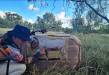 Young archer shoots three perfect 11 shots