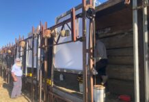 What a success, four new club members