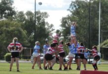 Echidna’s celebrate old players and sponsors