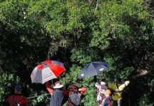 Update from Maranoa Archers