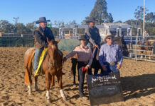 Buckle debut a cut above