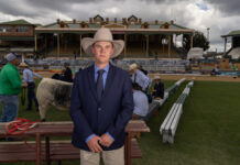 The young auctioneers of Roma sell at the Ekka