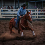 chinchilla_438073_01