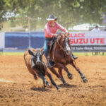 chinchilla_438073_02