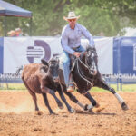 chinchilla_438073_04