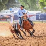 chinchilla_438073_05