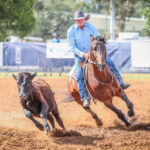 chinchilla_438073_07