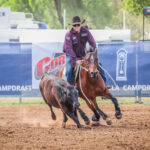 chinchilla_438073_09