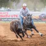 chinchilla_438073_10