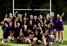 Orchids come up just short