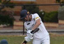 Cricket triple treat