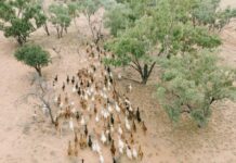 QRIDA’s future secured