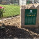 stpatricks_481364_02