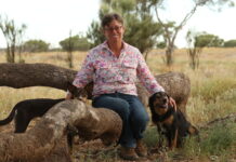 Capturing the beauty of the bush