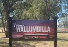 Wallumbilla’s new facility named ‘The Wheat Shed’