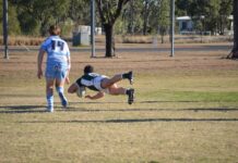 Cods keep finals dream alive with dominant over the Echidnas