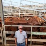 saleyards_490528_03