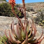 Garden2908_498692_01