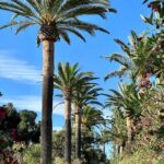 Garden2908_498692_03