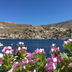 Garden2908_498692_06