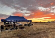 Mitchell students saddle up for charity cattle drove