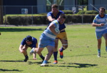 Wheatmen too strong for Echidnas on Super Saturday