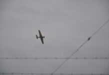 New Wings and Wheels event a soaring success