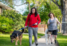 Bark in the Park event coming September