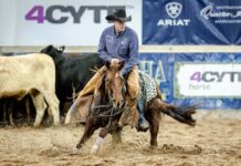 Jamie Seccombe and Hellous claim victory in 30th Darling Downs Cutting Club Futurity