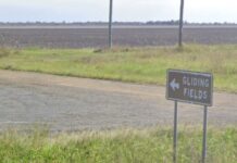Police face ‘complex scene’ after fatal glider crash near Dalby
