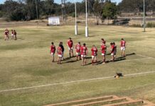 Frillnecks stun Rangers but finals dreams fall short