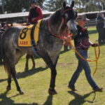 stjohnrace_496865_13