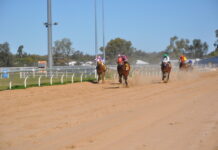 Winter Carnival wraps up at Bassett Park