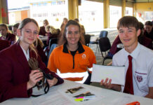 Roma classrooms turn learning into global impact