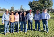 The Grove goes online