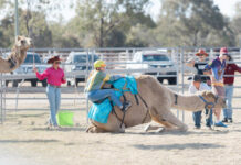 Wandoan Camel Races set to wow