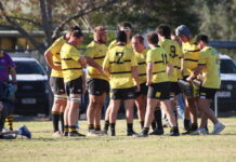 Black Pigs end Emus Risdon Cup campaign