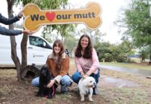 A woofing great time had at Council’s Bark in the Park event