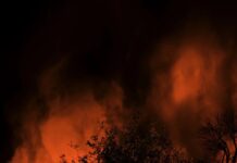 Surge of Suspicious fire activity in St George