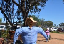 Garden Fest in the West springs to life