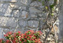 Everything old is new again