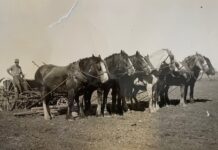 Together and in love after all these years