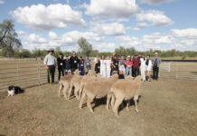 GROW Rural SWQ Students Deepen Rural Experience in Charleville