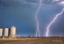 Winning photos capture soul of the bush